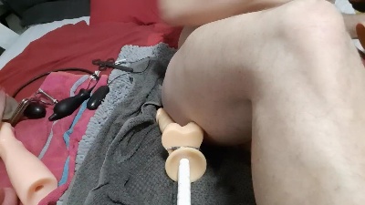 Analversaut86's Profile