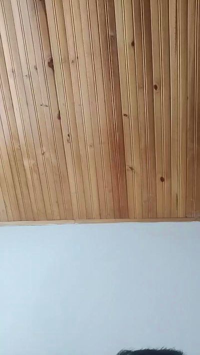 Carlhot3's Profile