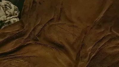DutchWolf's Profile