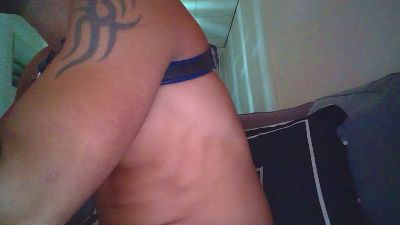 Dutchversaguy's Profile