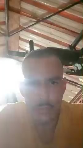 Elmasfeo2's Profile
