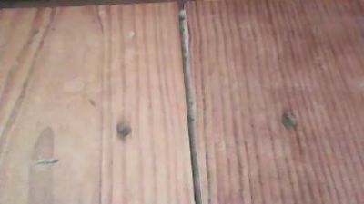 Frenchbeurette0's Profile