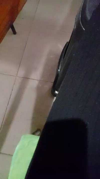 Gataonlyxx's Profile