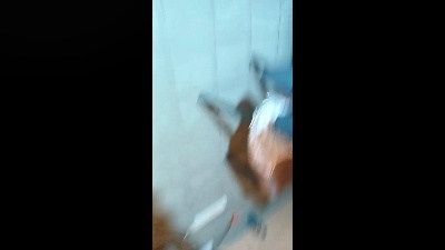 Ivannavice's Profile