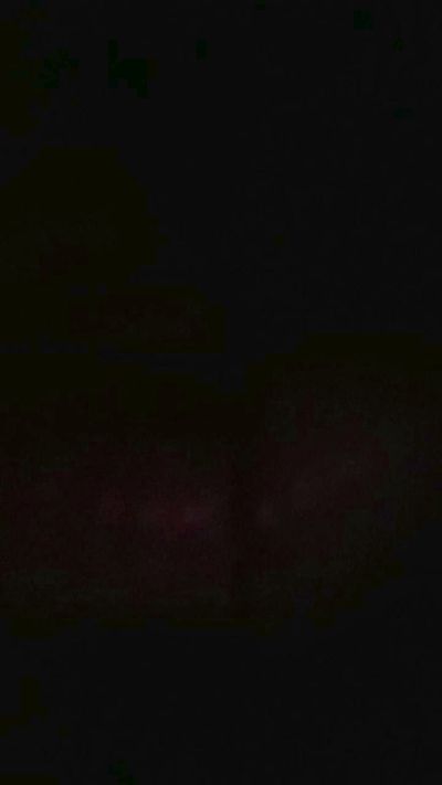 MHDcb's Profile