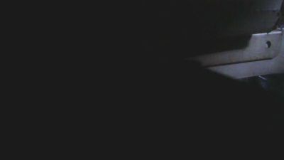PICA_DAN's Profile