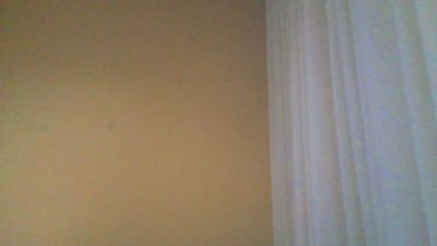 Renatosf00's Profile