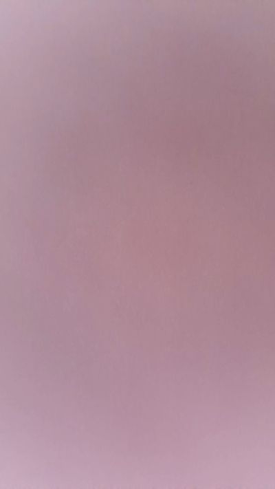 TradicionCANERA's Profile