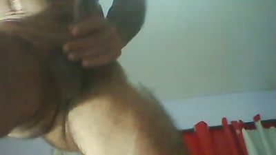 alexvieira45's Profile