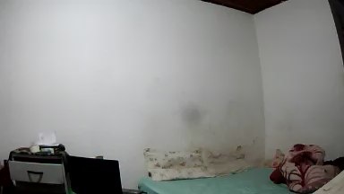 brasilman101's Profile