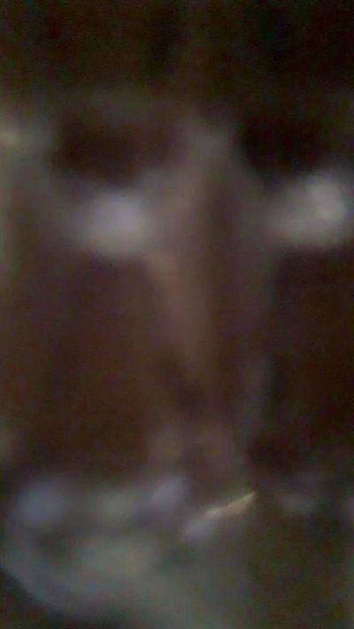 carlosyleonor23's Profile