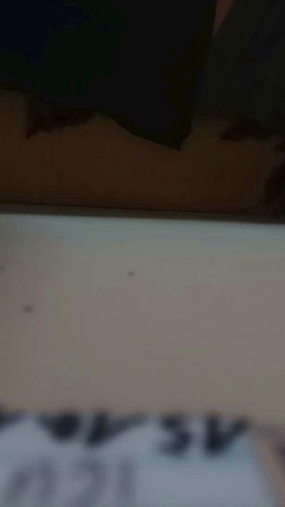 davideroberto's Profile