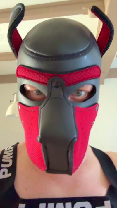fuckpyppydog's Profile