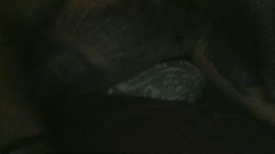 gorka19hot's Profile