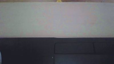 hornybearlov's Profile
