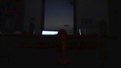 kcalicante74's Profile