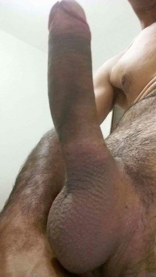 lamboxana's Profile