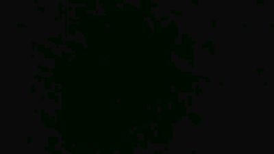 mic179_'s Profile