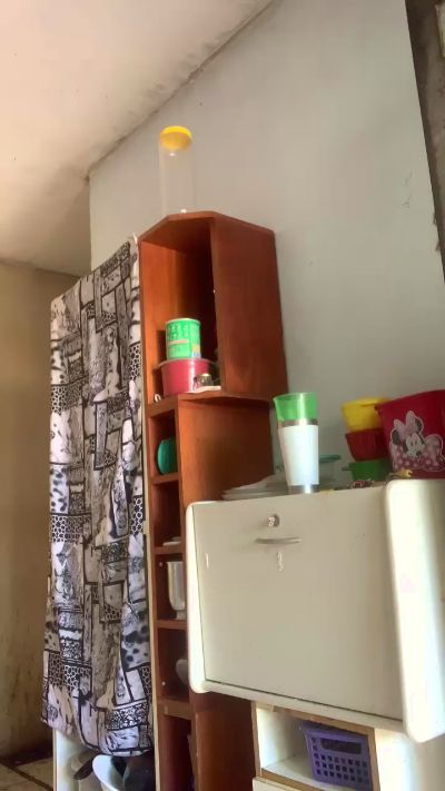 natysapequinha's Profile