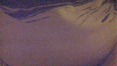 pars_'s Profile