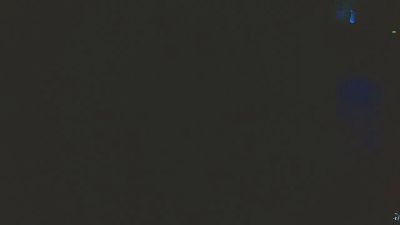 qwerty77771's Profile