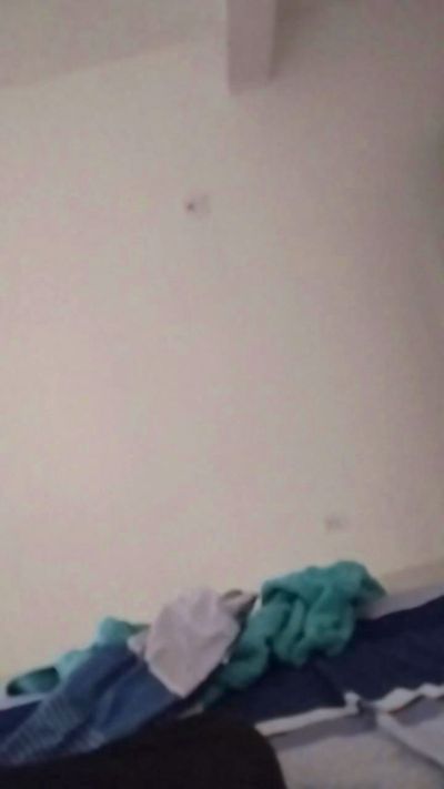 reynaldo49's Profile