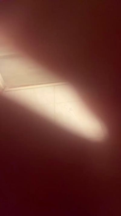 sedienta2's Profile