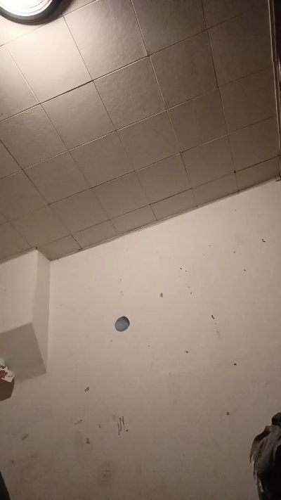 thaplug420's Profile